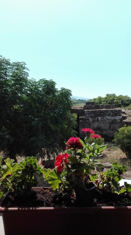 فندق بييسْتومفي  Porta Aurea المظهر الخارجي الصورة